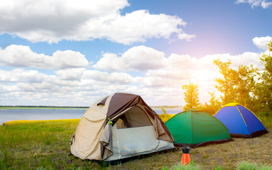 nebulizadores antimosquitos como métodos de protección