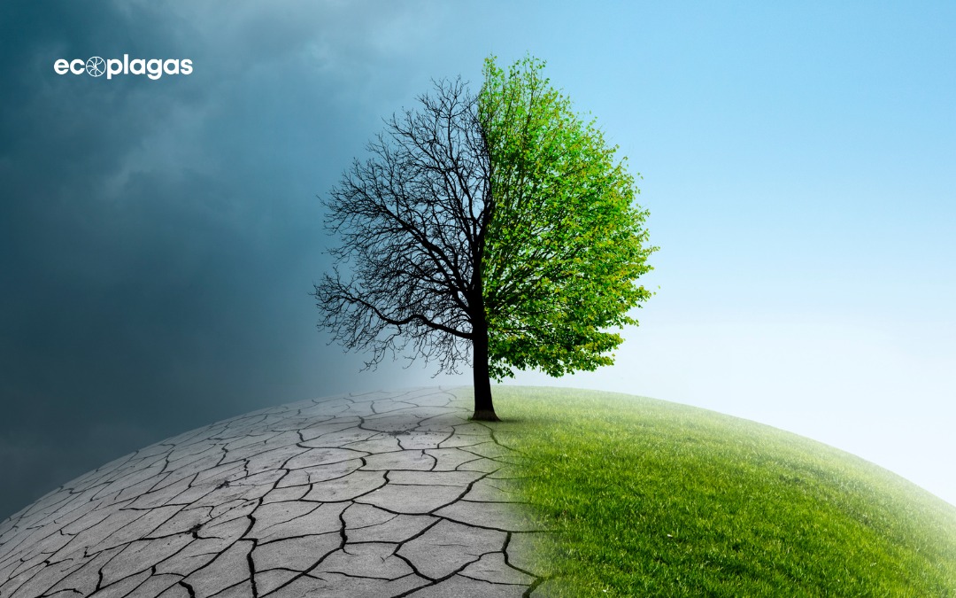 Cambio climático, diversidad y variabilidad vegetal