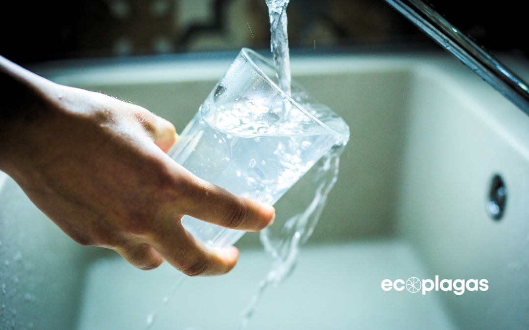 Mantenimiento de depósitos interiores de agua de consumo